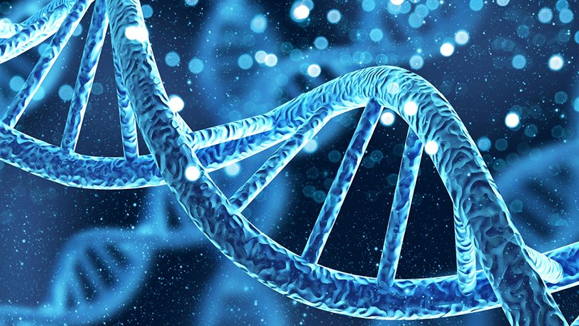 How genes impact your health