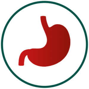 Digestive Health - SVG