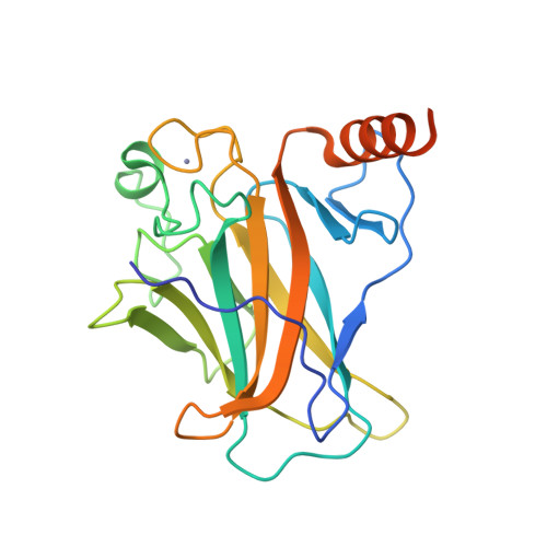 TP53 gene