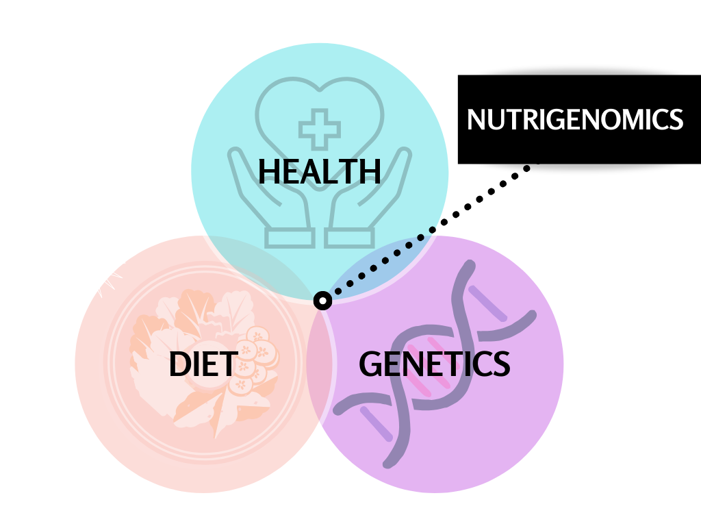 nutrition and lifestyle